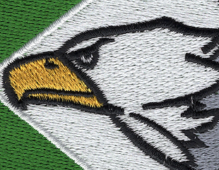 555th Fighter Squadron Patch