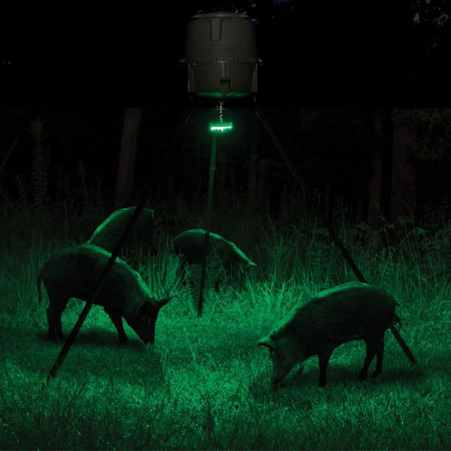 Battery Powered Feeder Hog Light - 30-ft Illumination with Adjustable Brightness