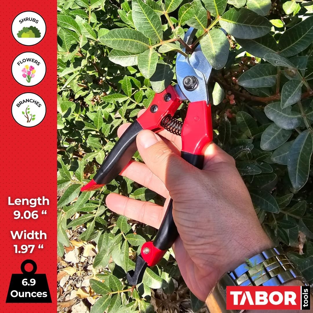 TABOR TOOLS S821A Bypass Pruning Shears, Makes Clean Cuts, Great for S-M, Red
