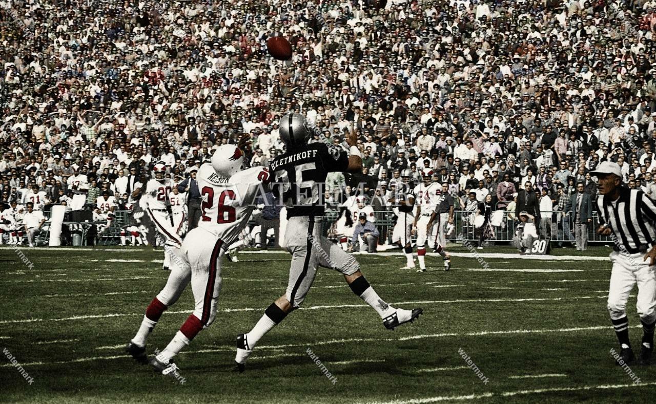 DW14 Fred Belitnikoff Oakland Raiders Football 8x10 11x14 16x20 Colorized Photo