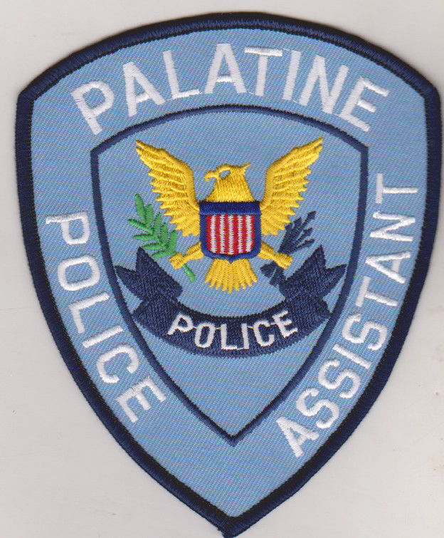 Palatine P Assistant non shoulder patch