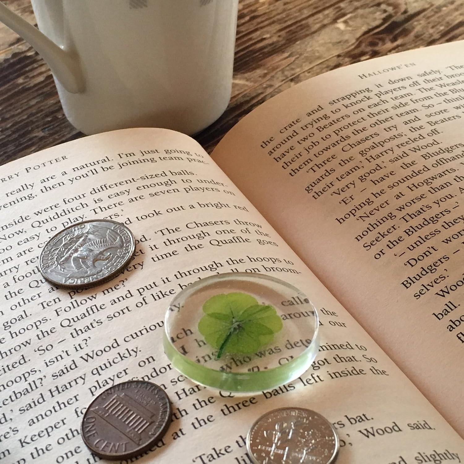 Real Four Leaf Clover Lucky Pocket Token Preserved Flowers Gift
