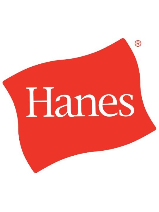 Hanes Women's Absolute Comfort No Show Tab Socks 5 pair Shoe Size 5-9