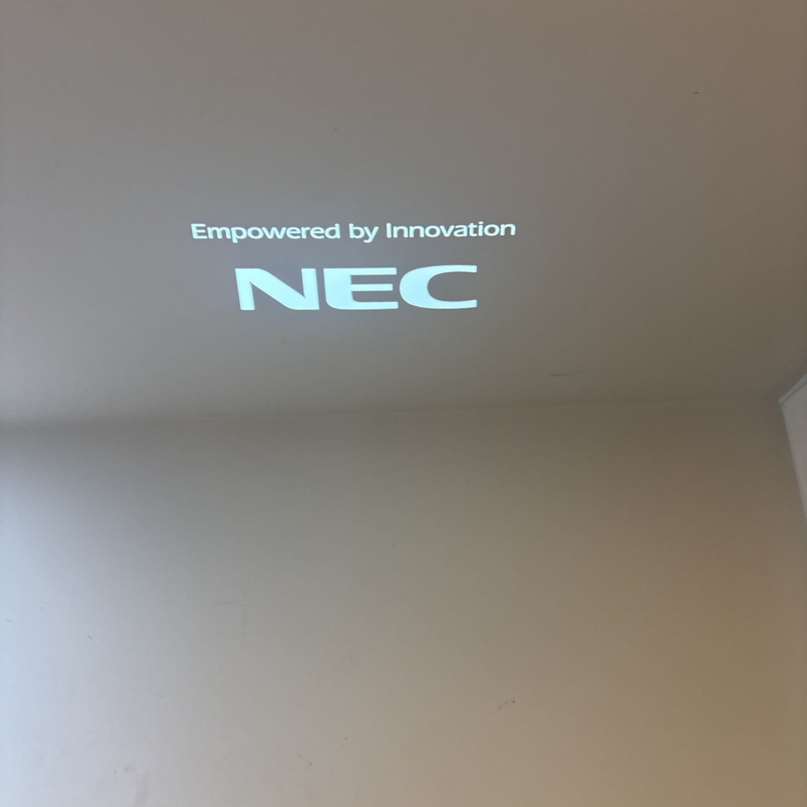 NEC NP215 DLP Engine Compact Mobile Projector. Works Great. W/ Remote