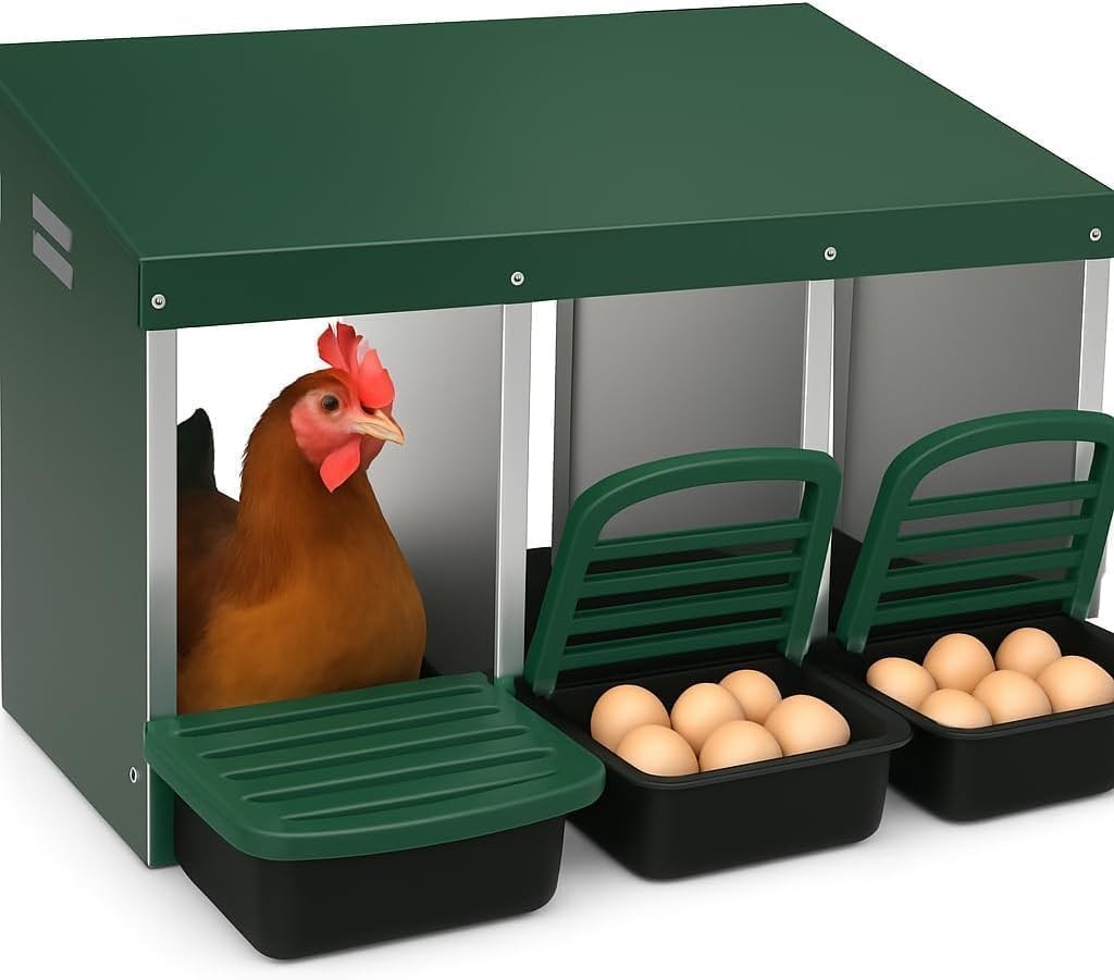Chicken Nesting Box 3 Compartments Metal Chicken Nesting Box for Laying Eggs