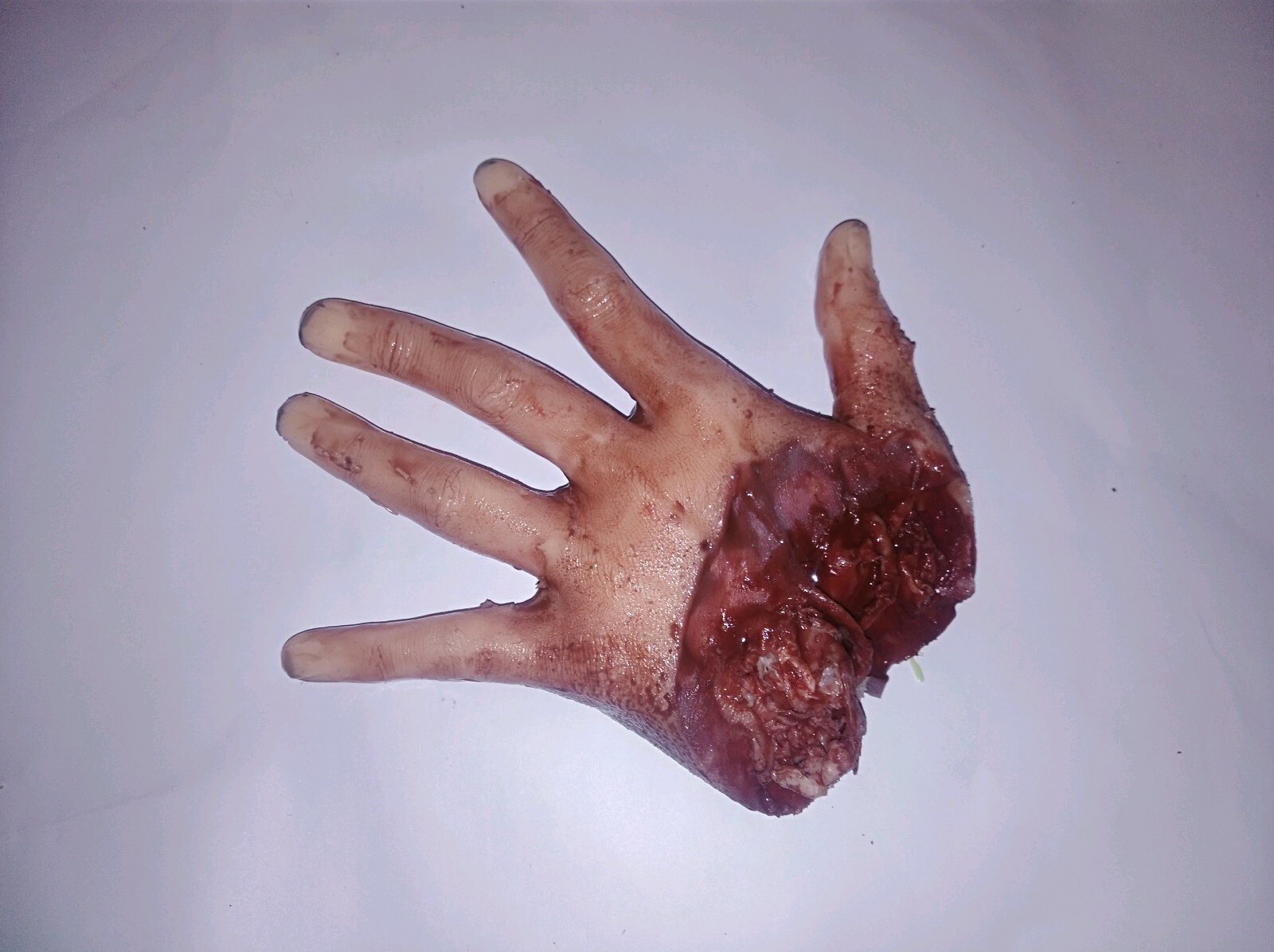 Silicone HORROR PROP severed female hand movie quality gore blood zombie dead