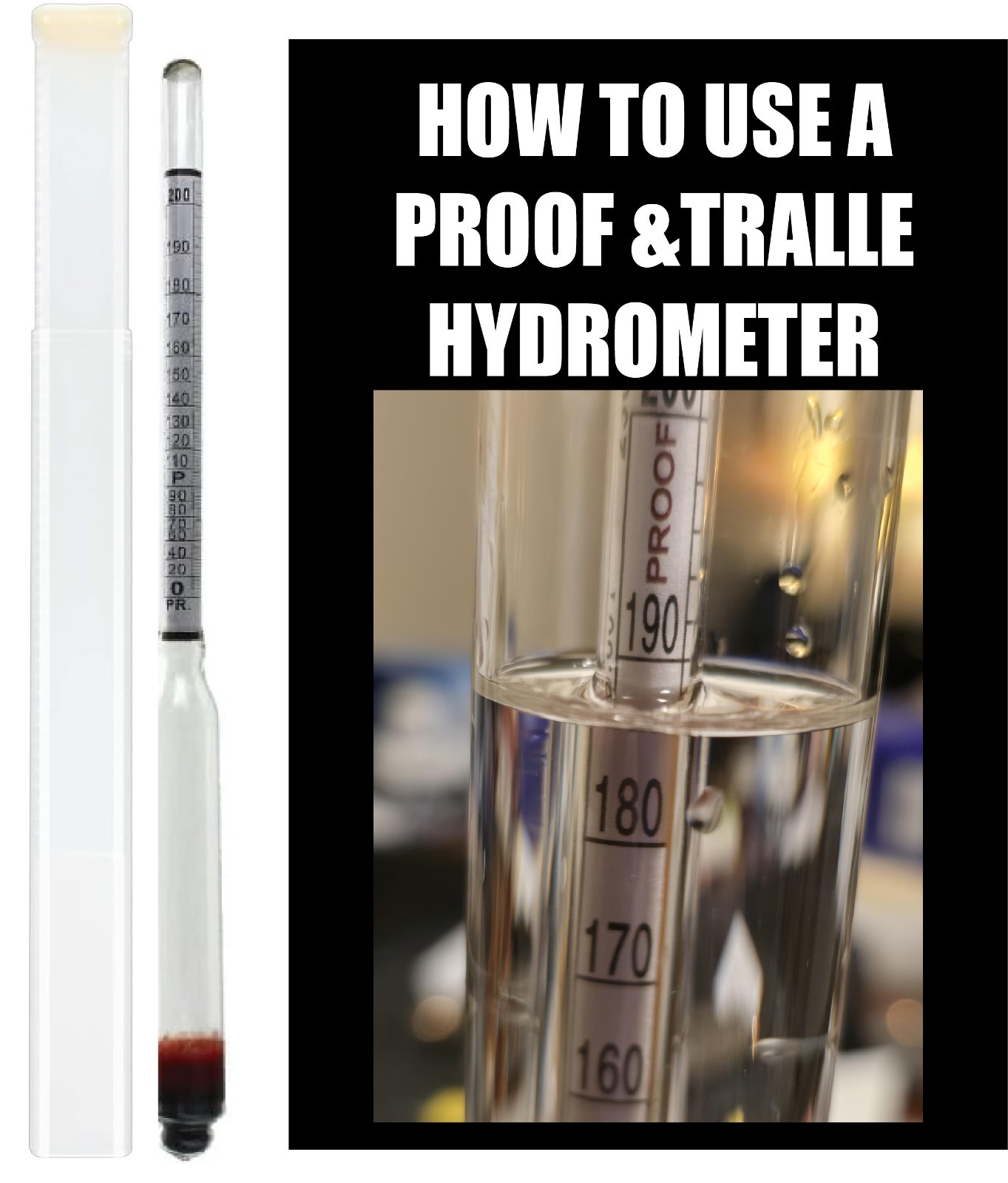 Basic Fermentation Essentials for Distilling