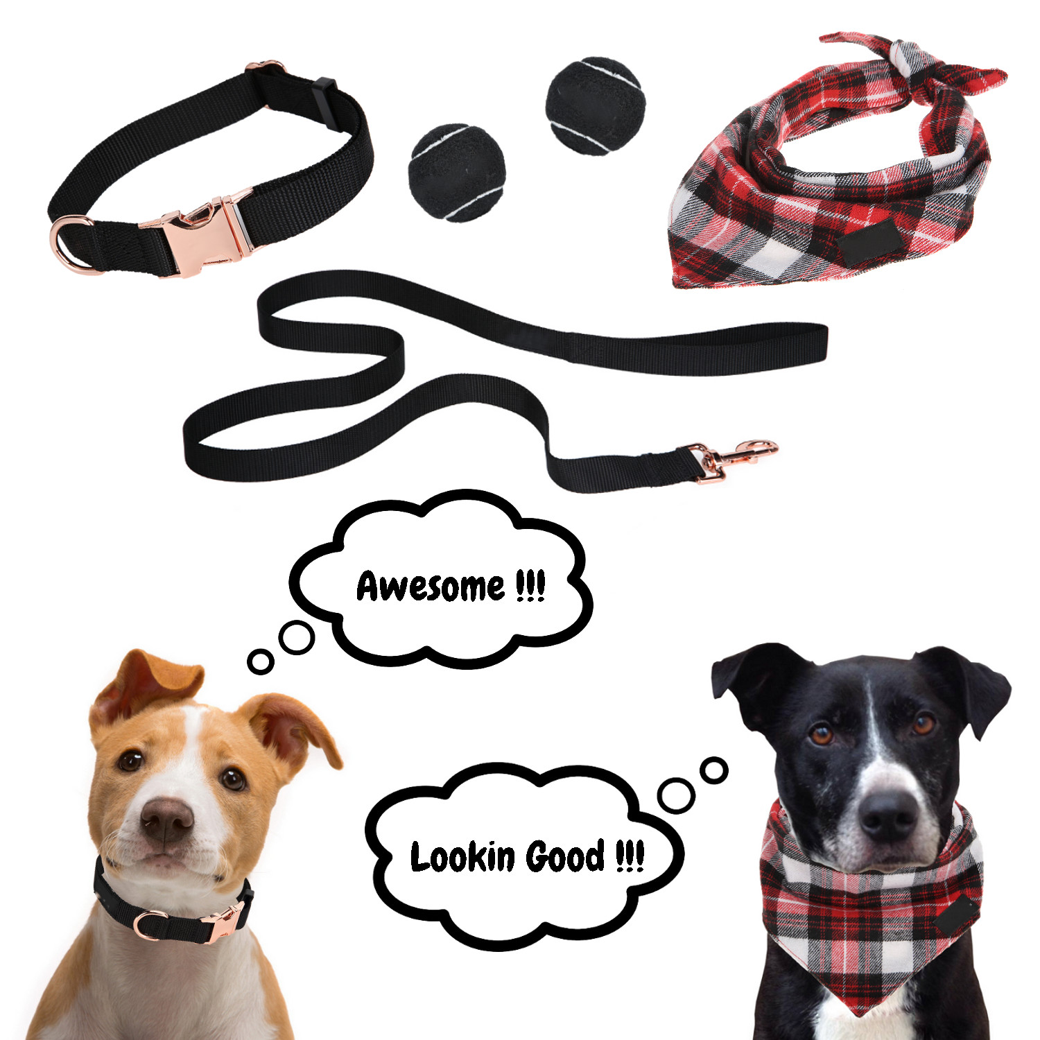Dog Walking Kit Dog Leash and Collar Dog Bandanna Dog Ball Toys