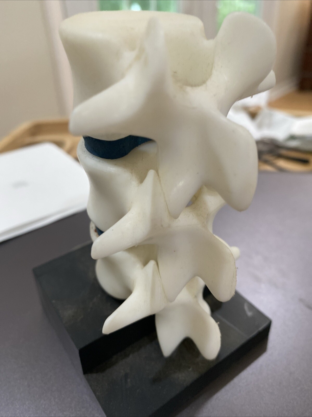 Anatomical Model Spine Vertebrae Height Educational Plastic Movable