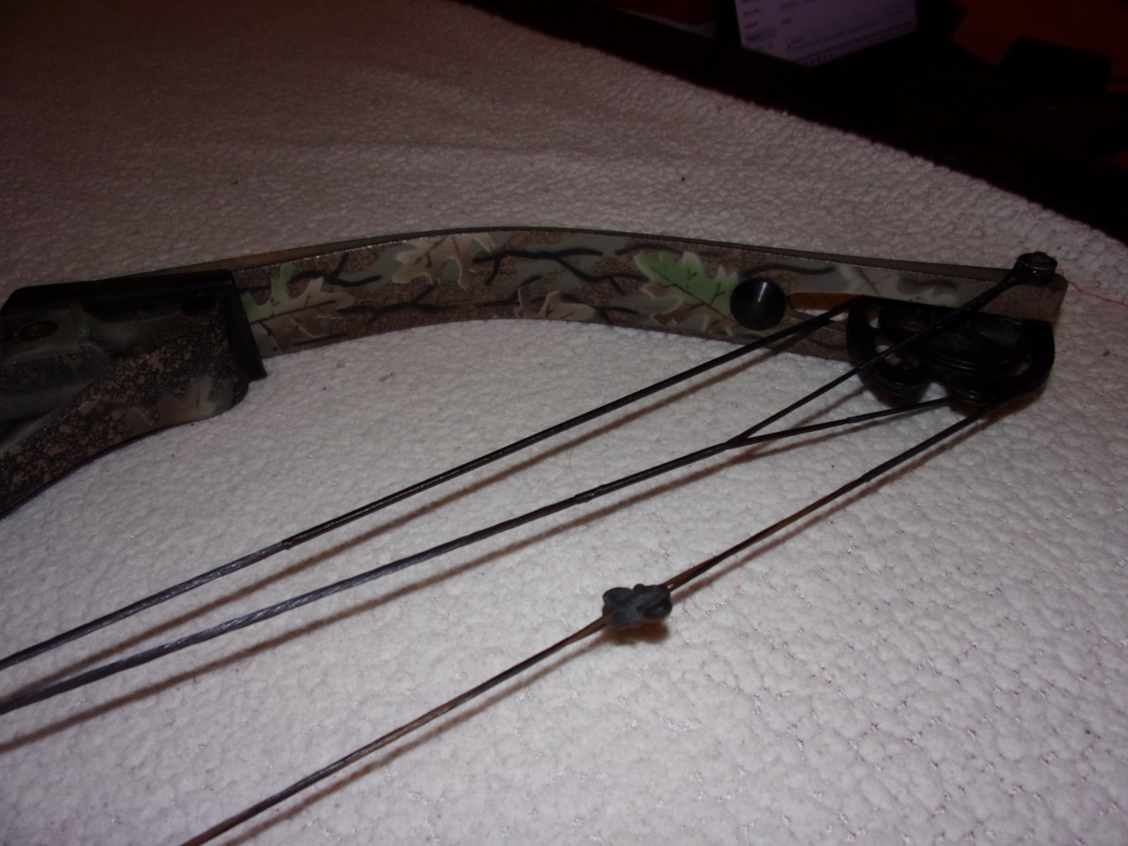 Hoyt Raptor Excel Compound Bow