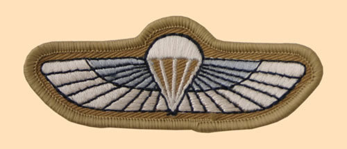 NEW OFFICIAL SBS wings, colour