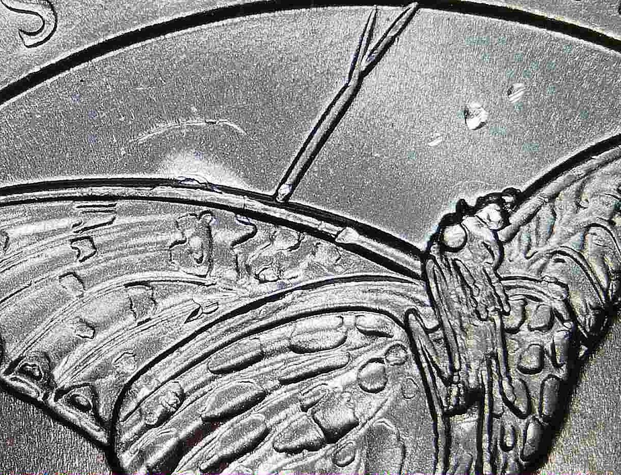 Die Break & Chips Errors - 2020 Tallgrass Prairie ATB Quarter - On Wing & Head