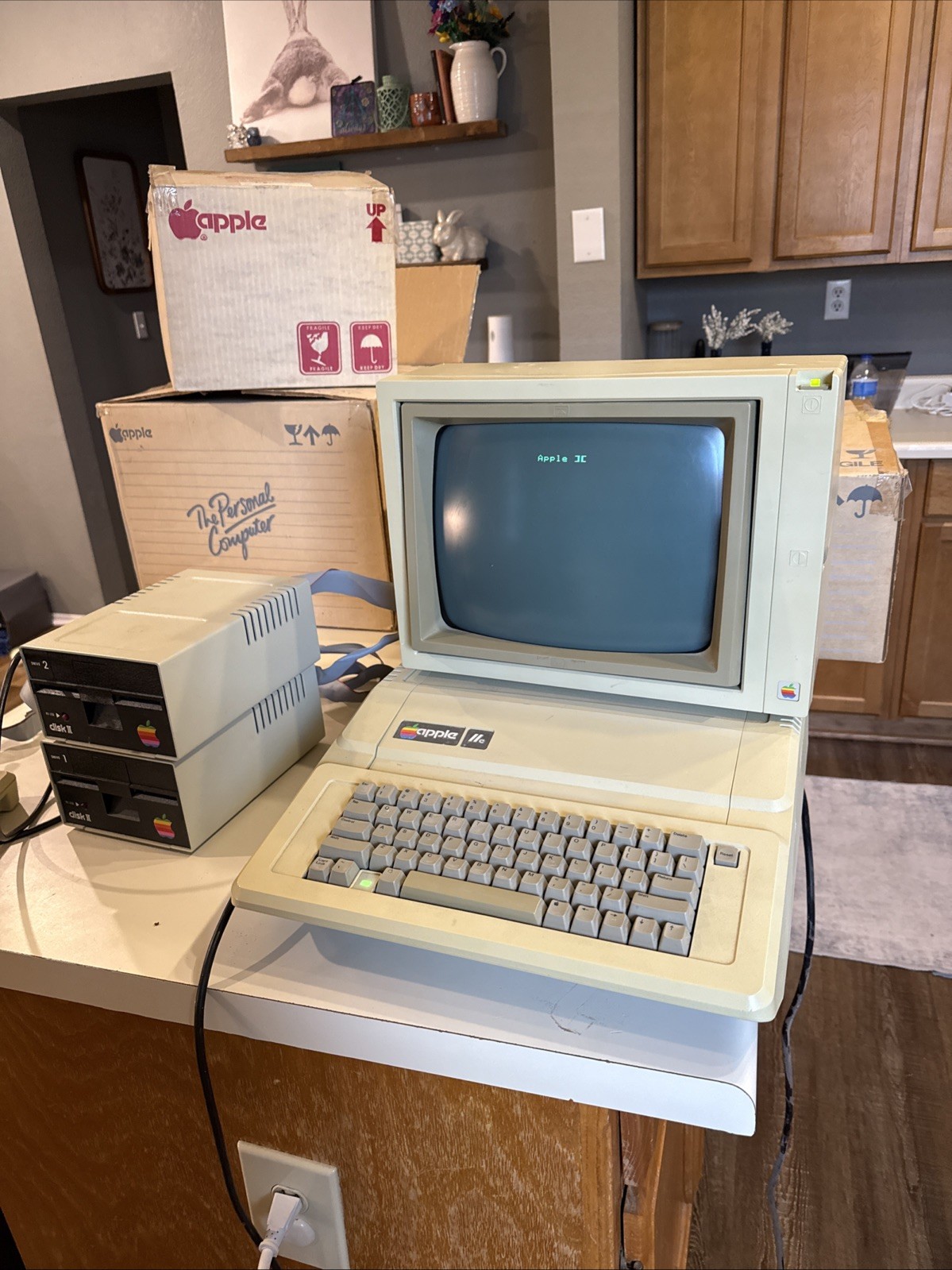 Vintage Apple IIe Pc Monitor Disc Drives  w/original box Powers On