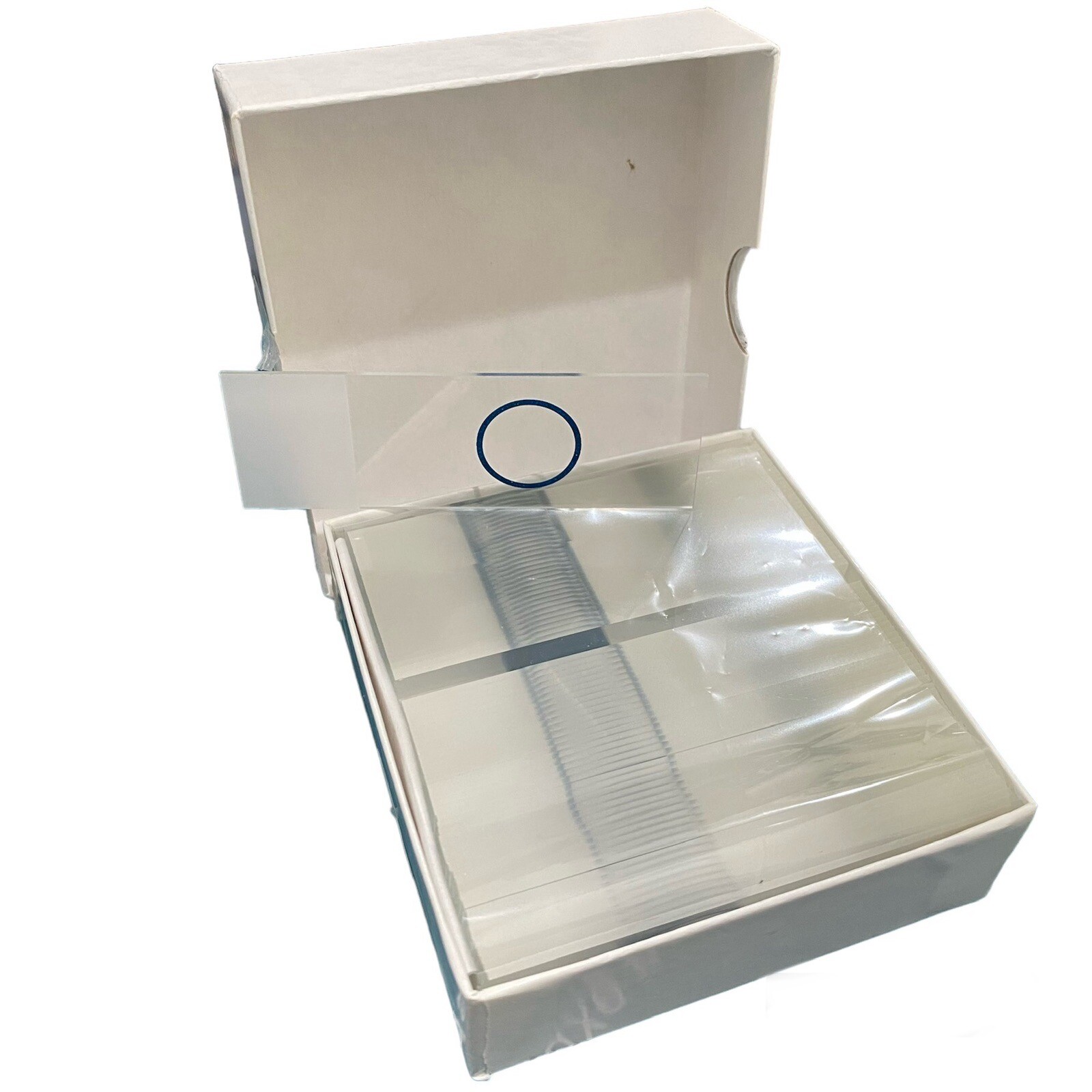 Cel-line Epredia White Frosted end & Blue Ring Microscope Slides, 72 Slides/box