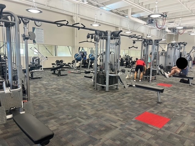Life Fitness | Signature Series MJ12 Multi-Station Jungle Gym