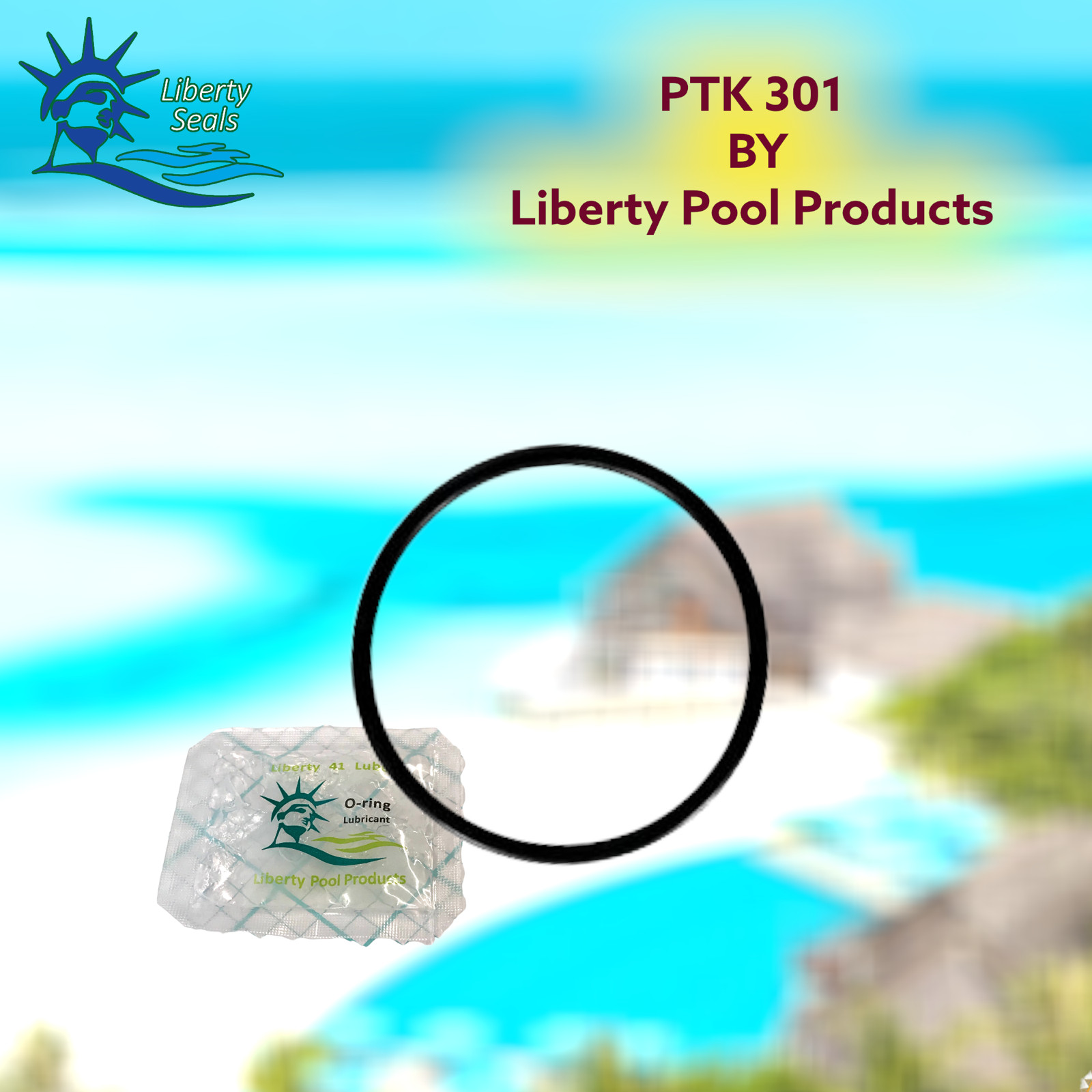 FF-12  Flo-Master® Suction O-Ring Replacement Pool - Spa Pump For Aqua Flo