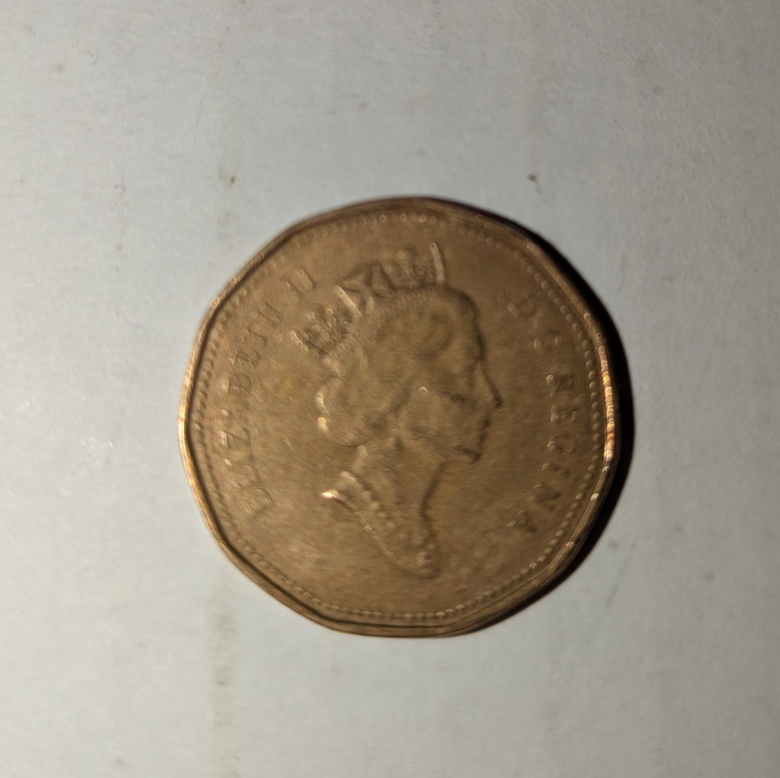 1991 One Dollar Canada Elizabeth II Circulated Uncertified