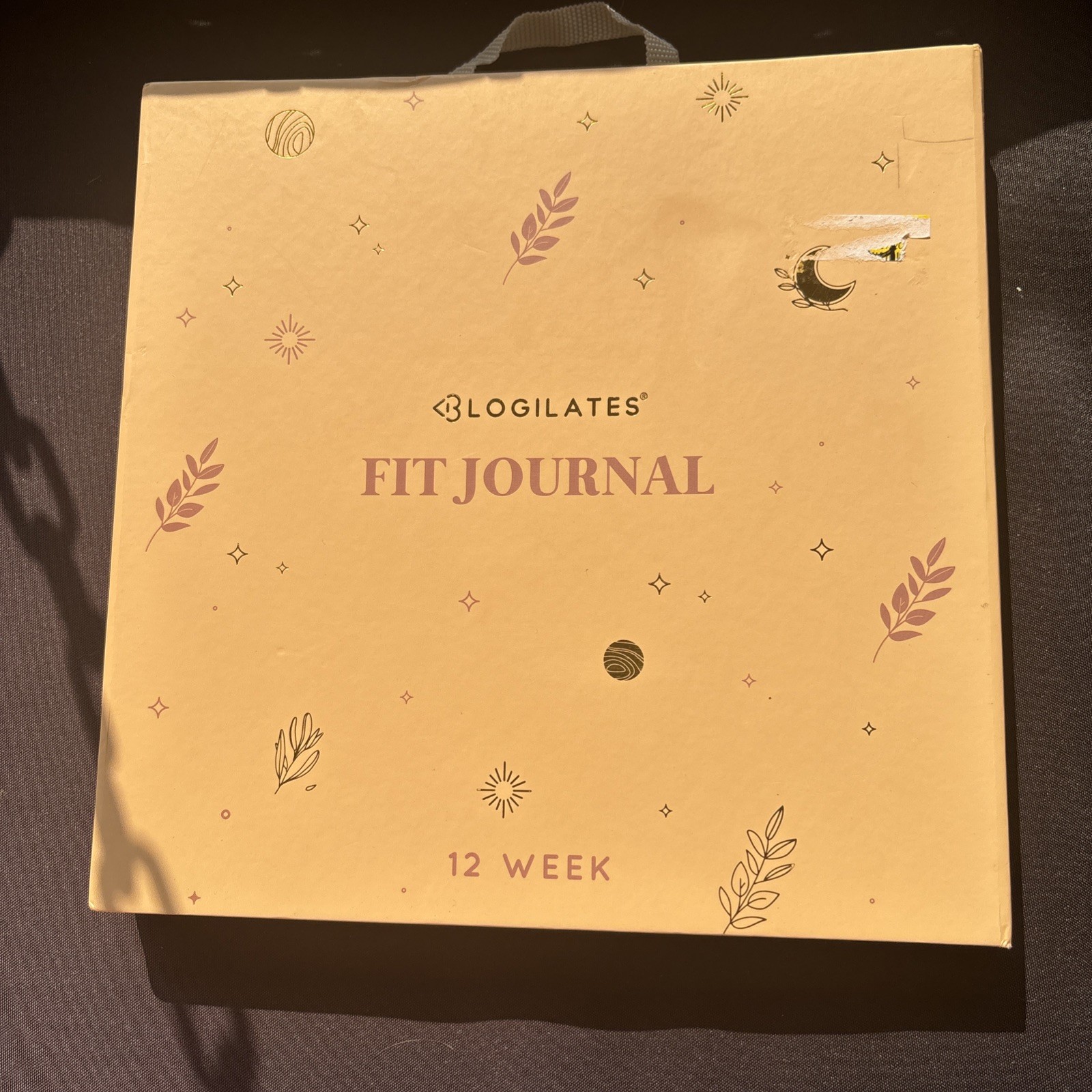 NIB Blogilates Fit Journal 12 Week Set w/ Pen