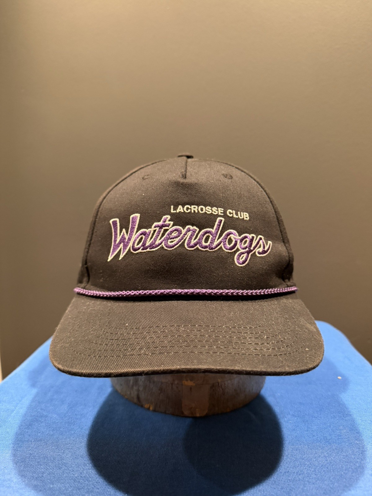 Philadelphia Waterdogs Snapback Hat Vintage Premier Lacrosse League PLL PMT