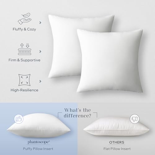 Feather Pillow Inserts, 100% Down Feather Throw 18" x 18" (Pack of 2) White