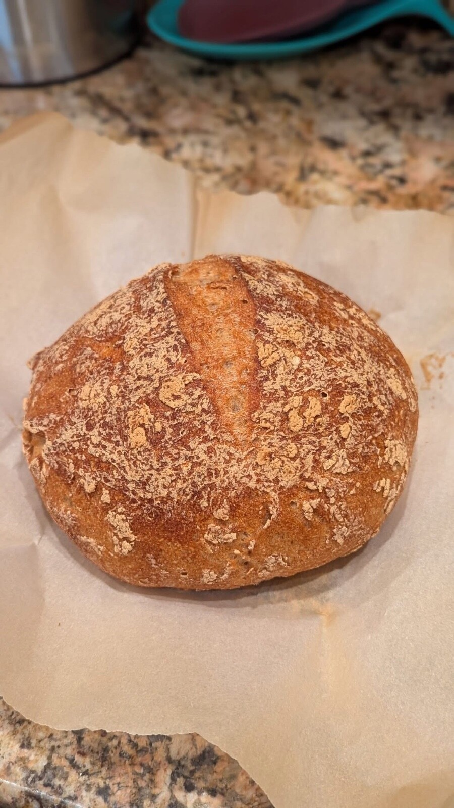 240+ Yr Old Gluten-Free Sourdough Starter | San Francisco Heirloom | Live