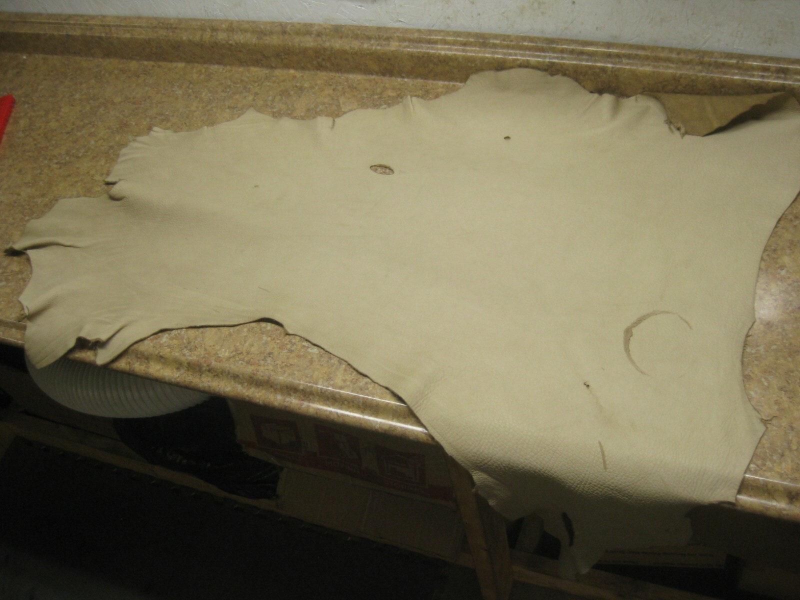 Tanned Deer Leather 0011047 row 14 a