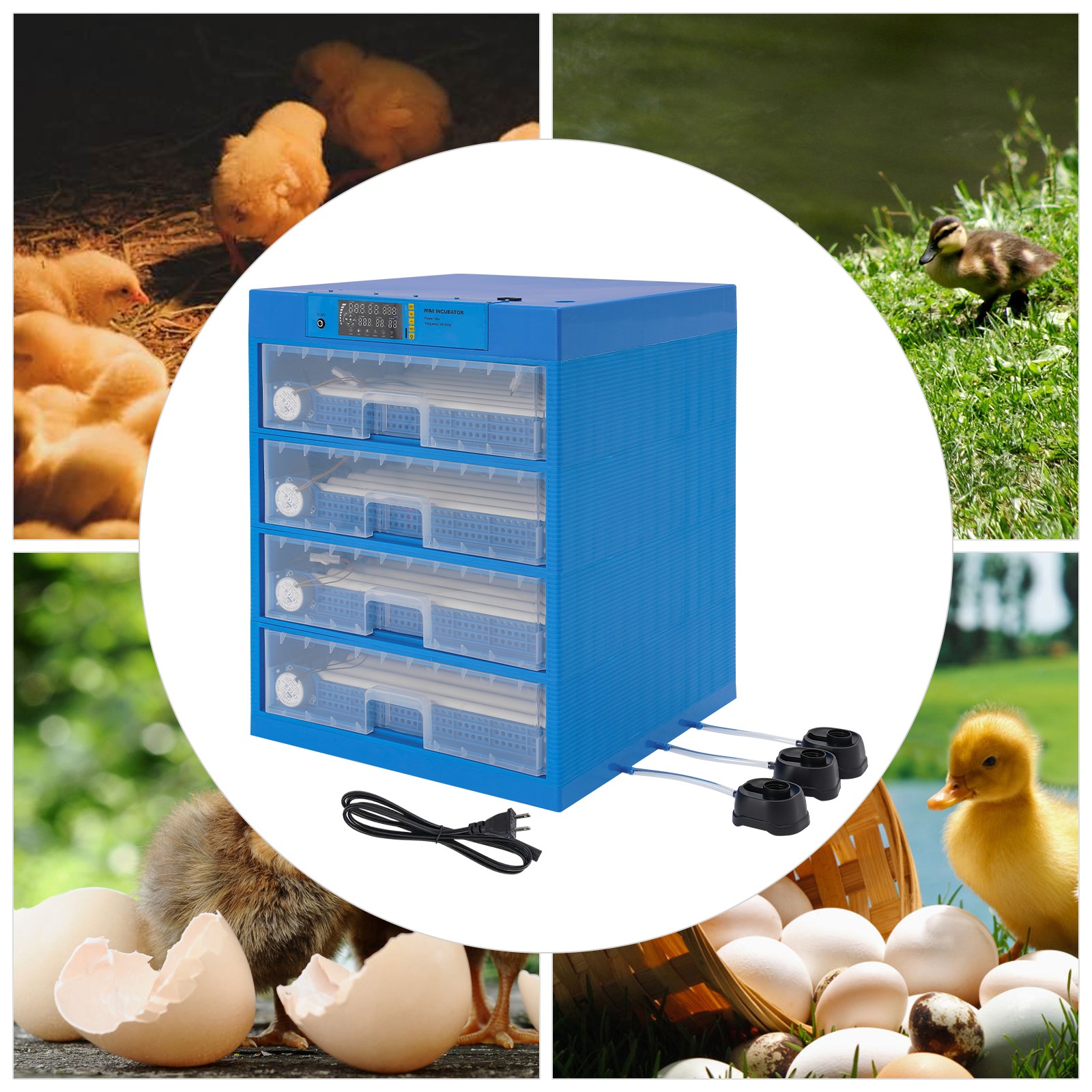 Automatic Egg Incubator 256 Eggs Blue Digital LED 110V 12V Poultry Hatcher
