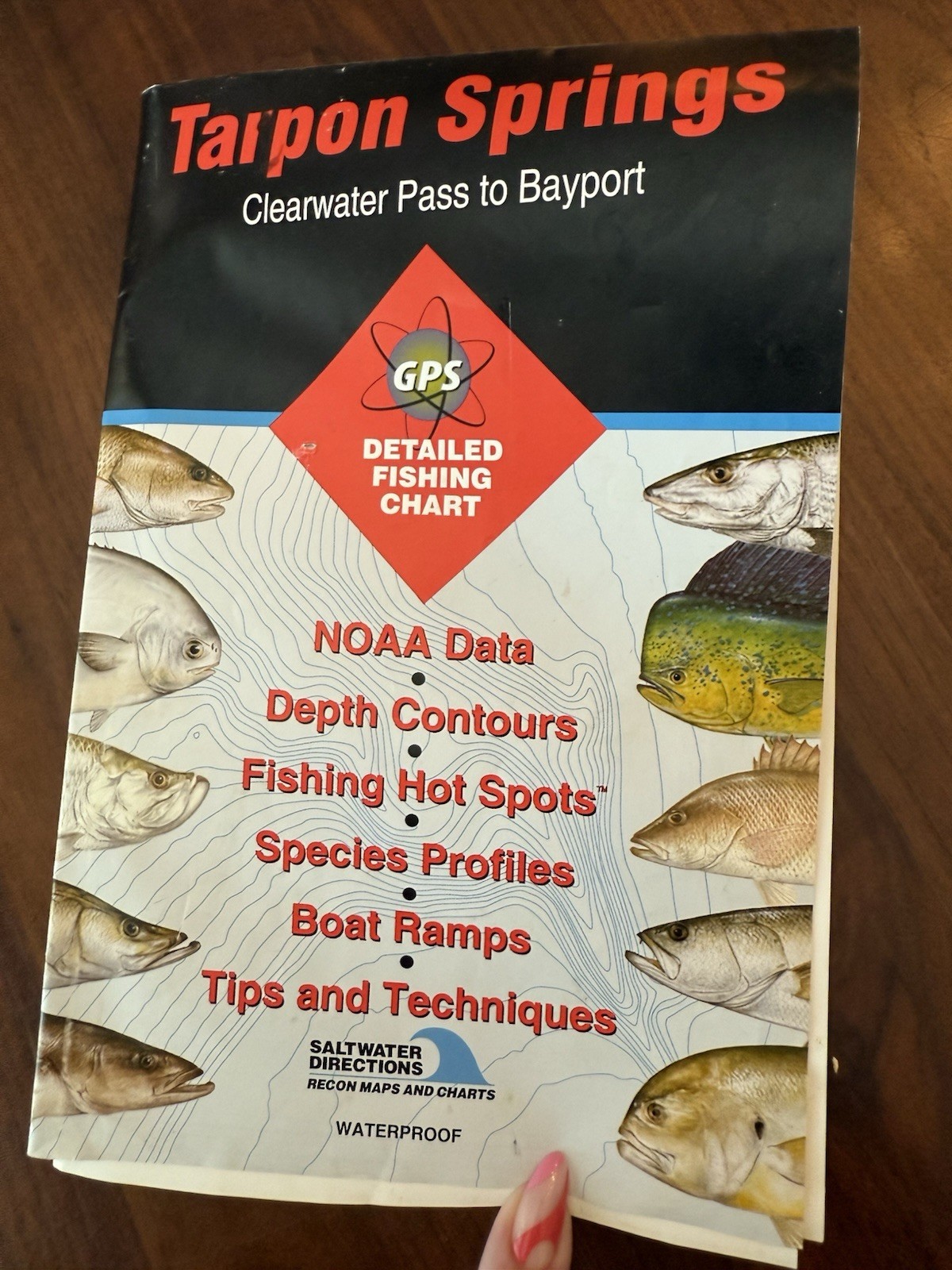 Tarpon Springs Clearwater Pass to Bayport Fishing Map
