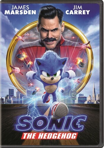 Sonic the Hedgehog (DVD, 2020) Rdbx Disc Only 4042