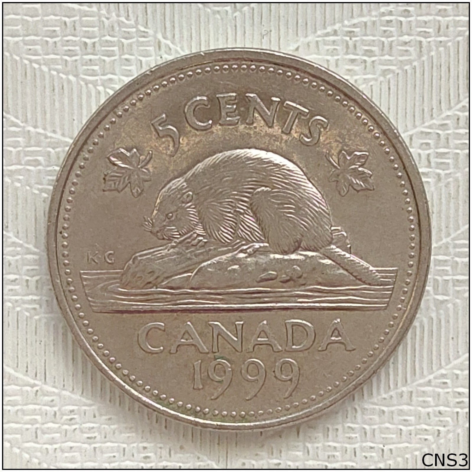 1999 Canada 5 Cents Coin (CNS3)