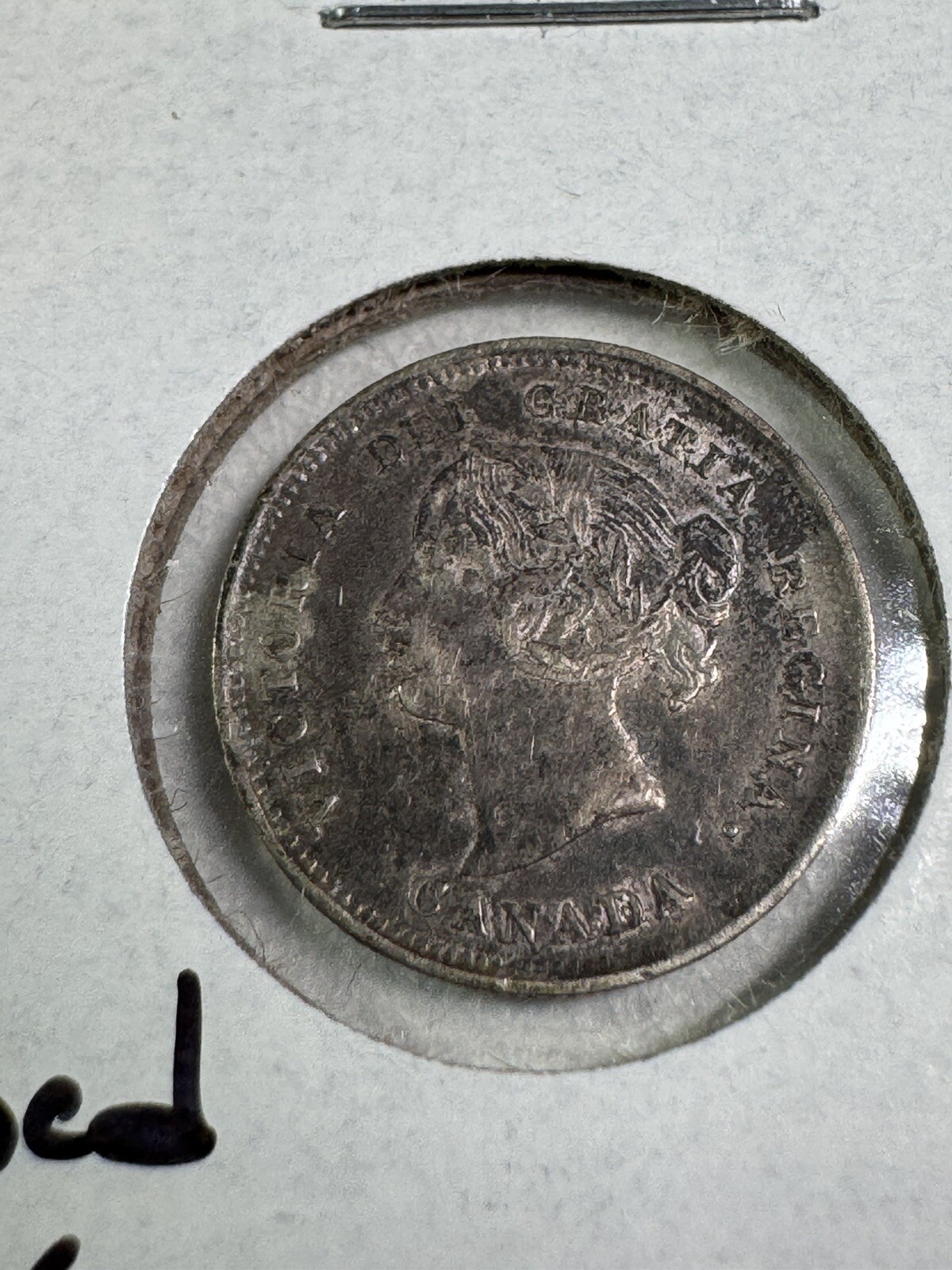 1886 Canada 5 Cents Small Silver Coin Small 6 Cleaned