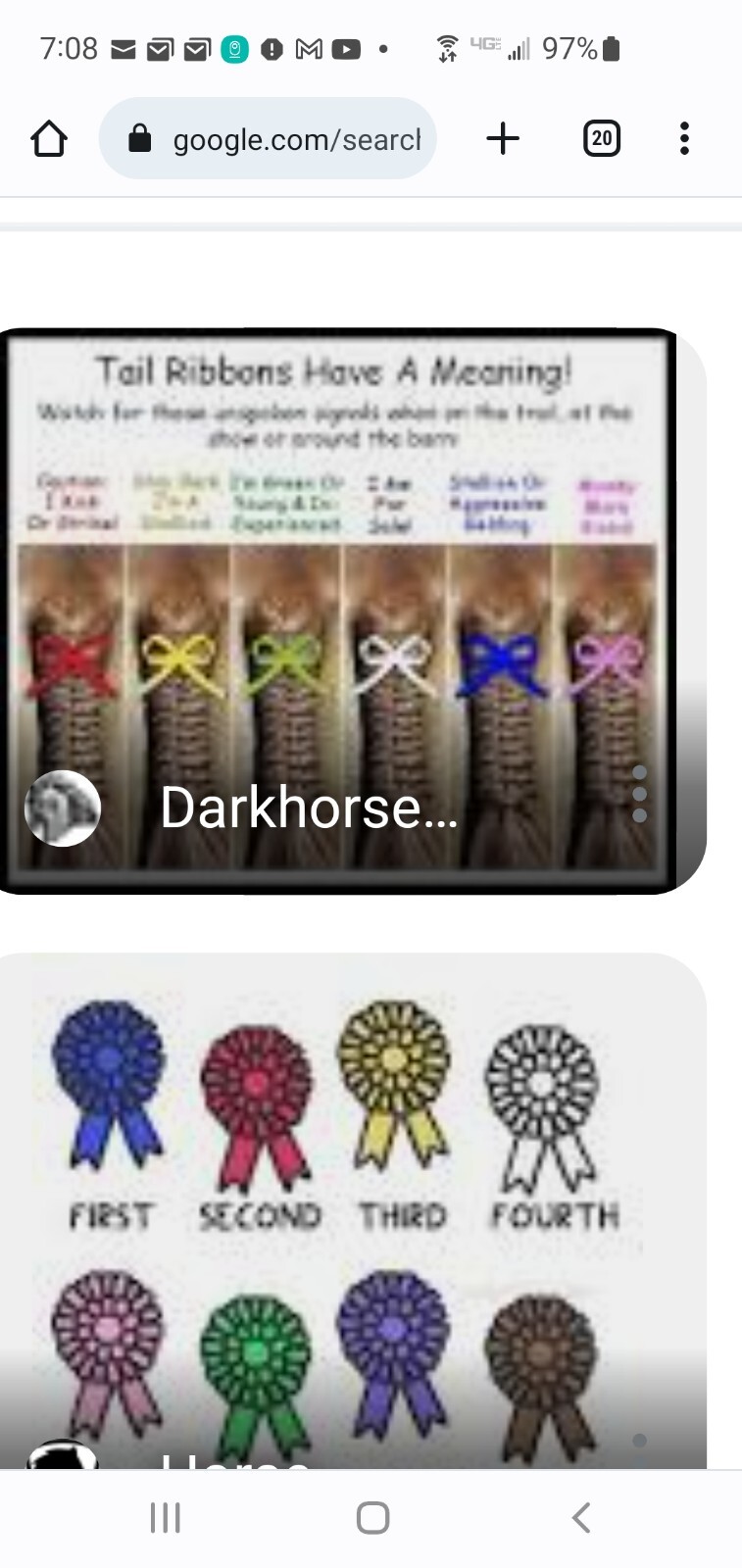 Custom TAIL RIBBONS for Show or trail