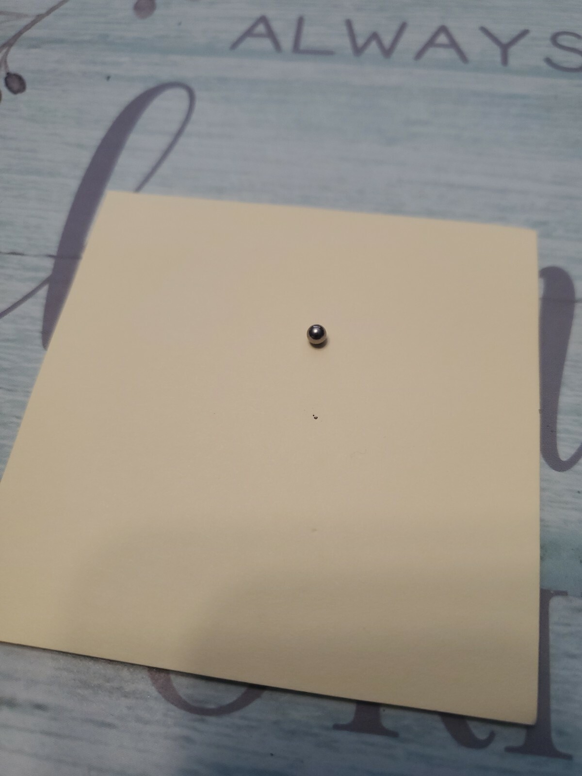 Number 8 Colt Ball Bearing x1