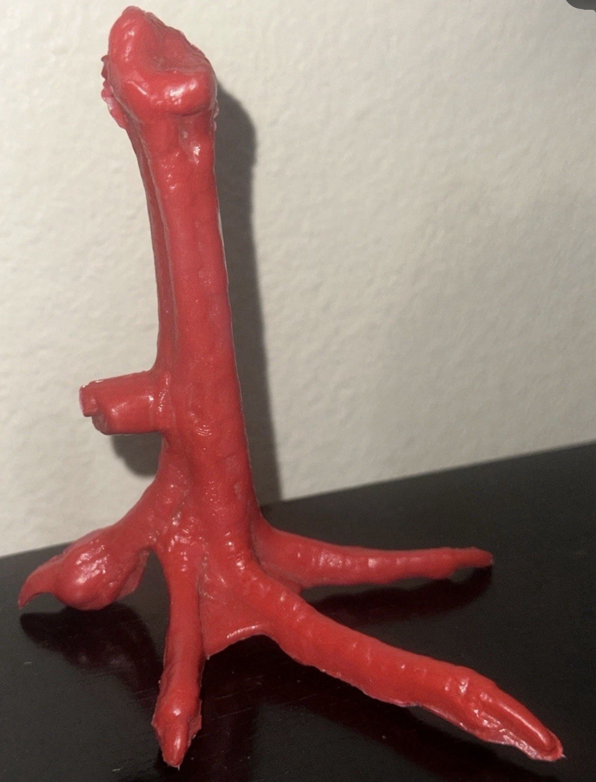 Pata De Plástico De Gallo Para Practicar / Plastic Rooster Leg Model