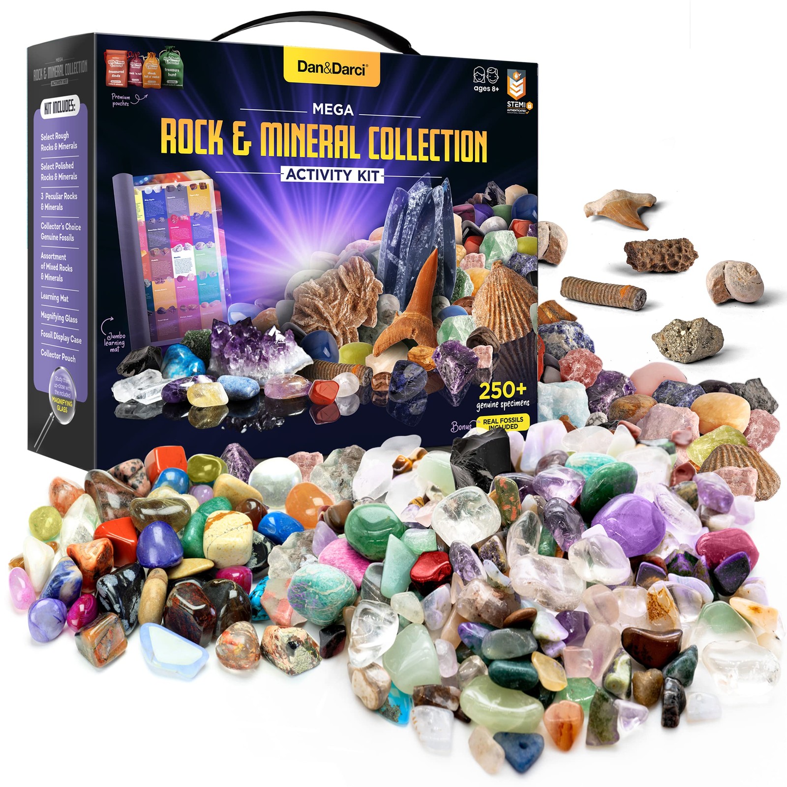 Dan&Darci Rock Collection for Kids - Includes 250+ Bulk Large, Multicolor