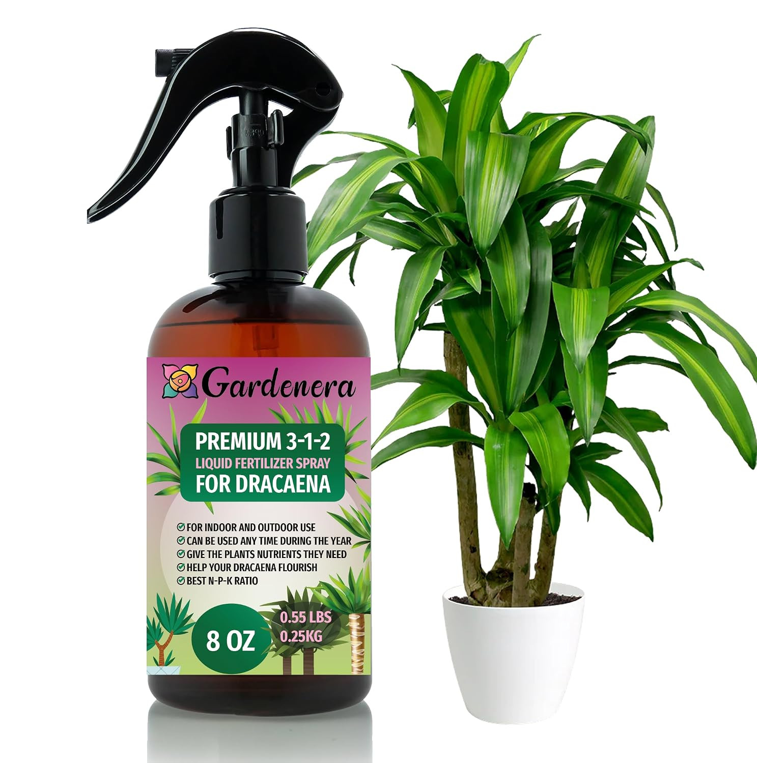 Professional Dracaena Spray Fertilizer Mist for Home Gardening | 3-1-2 Gentle Bl