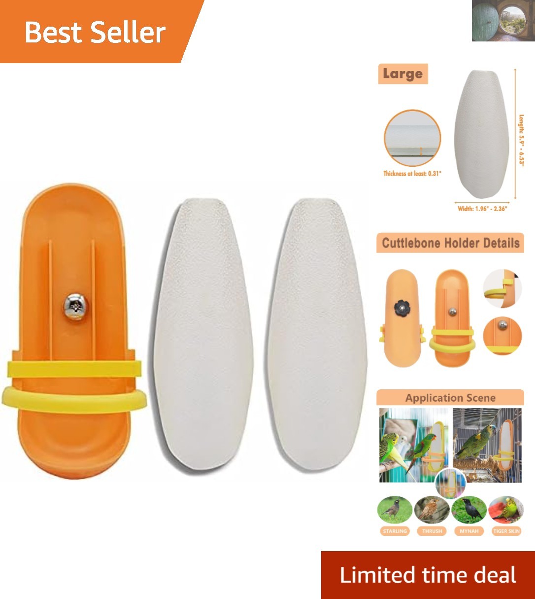 Essential Bird Cuttlebone 5.9"-6.53" - Calcium Rich with Plastic Holder - 2 Pack