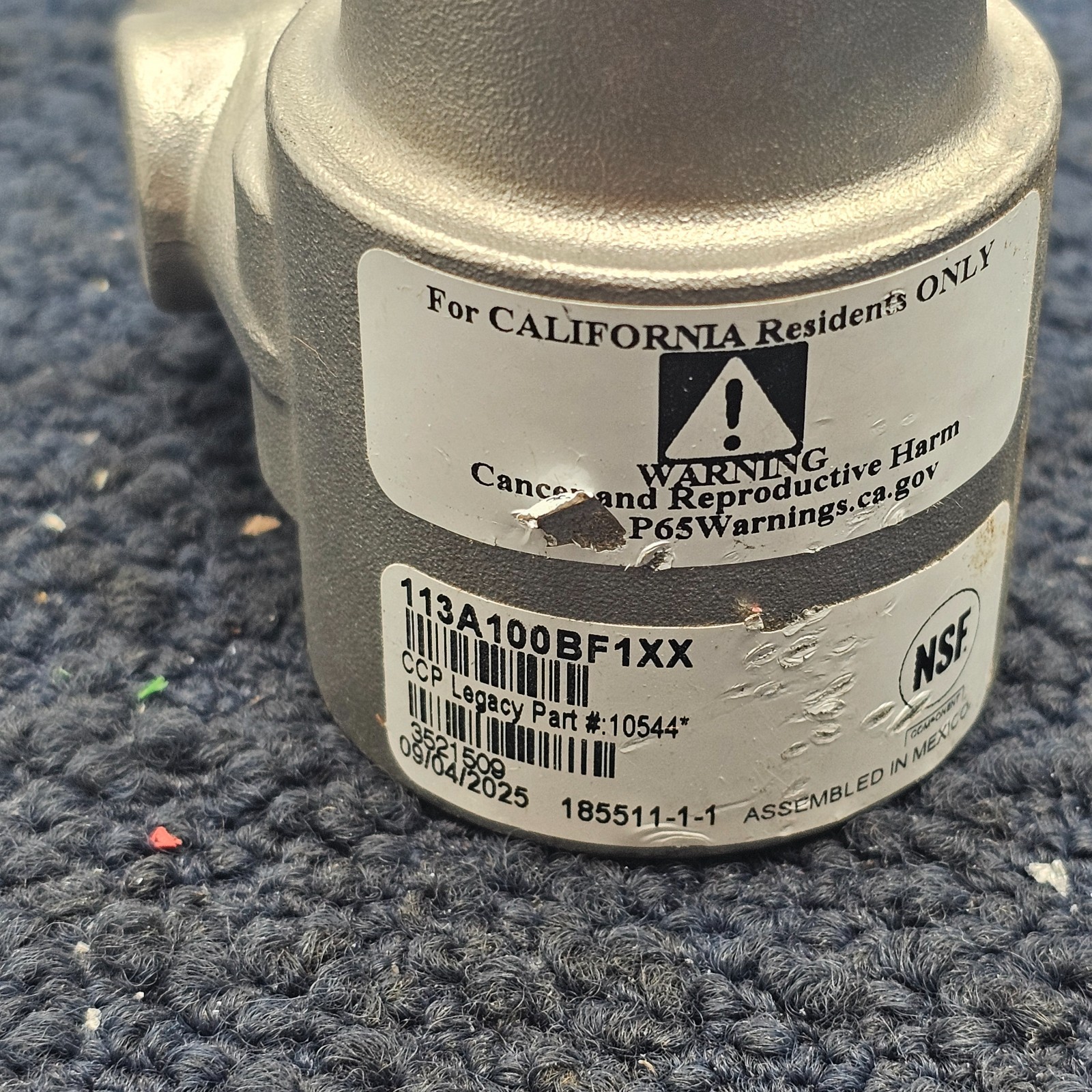 CCP 10544 Stainless Steel Pump 100 GPH 113A100BF1XX, 185511-1-1 Fits Procon Pump