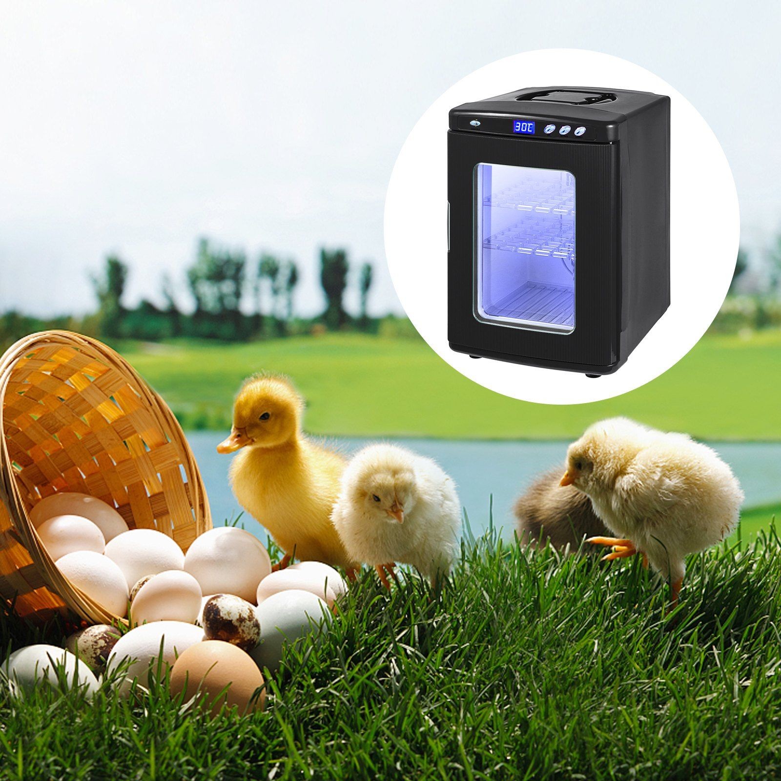 Precision 25L Incubator Maintaining Constant Temp for Delicate Eggs