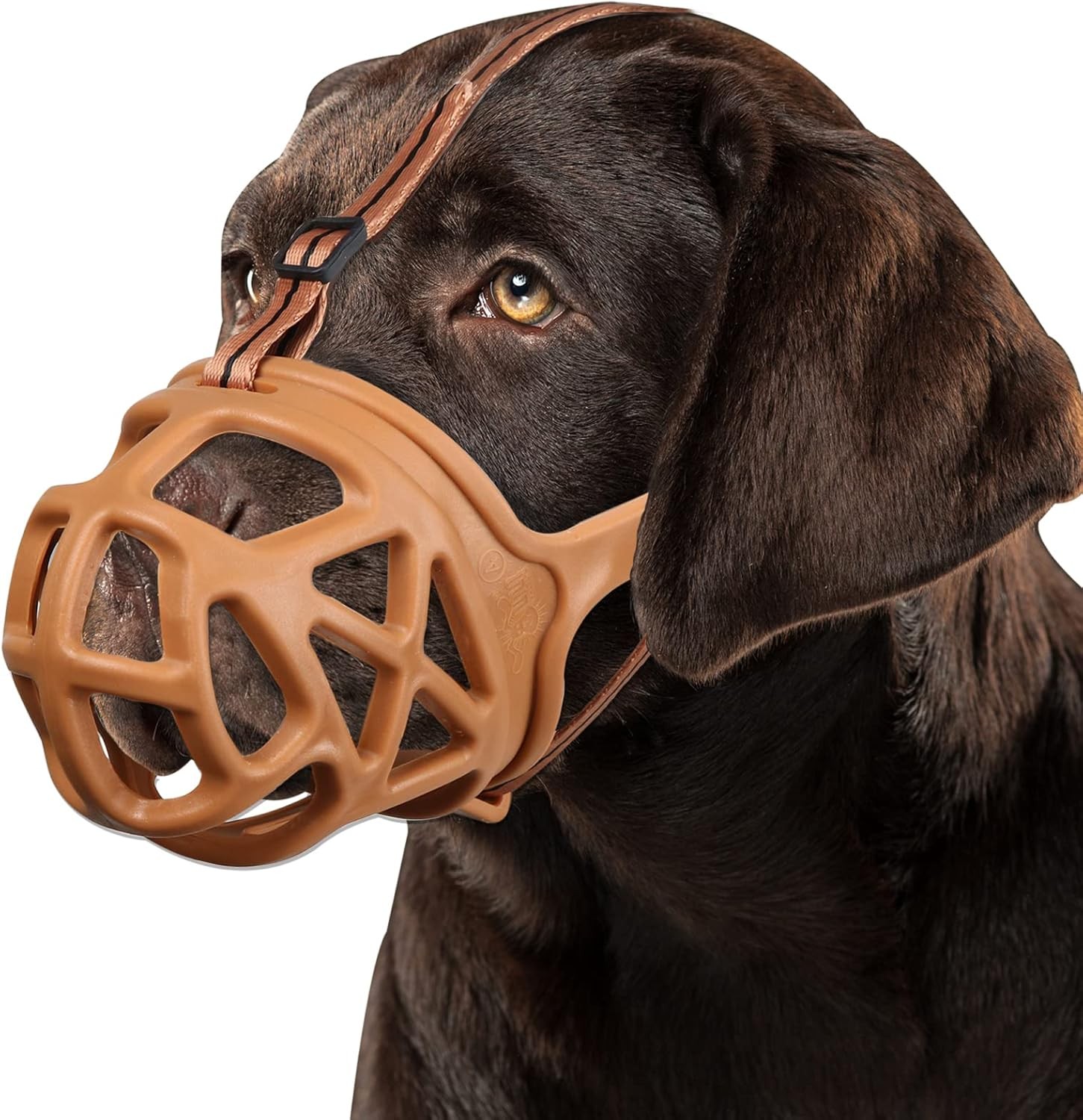 BARKLESS Dog Muzzle, Basket Muzzle for Biting, Chewing and Medium, Brown