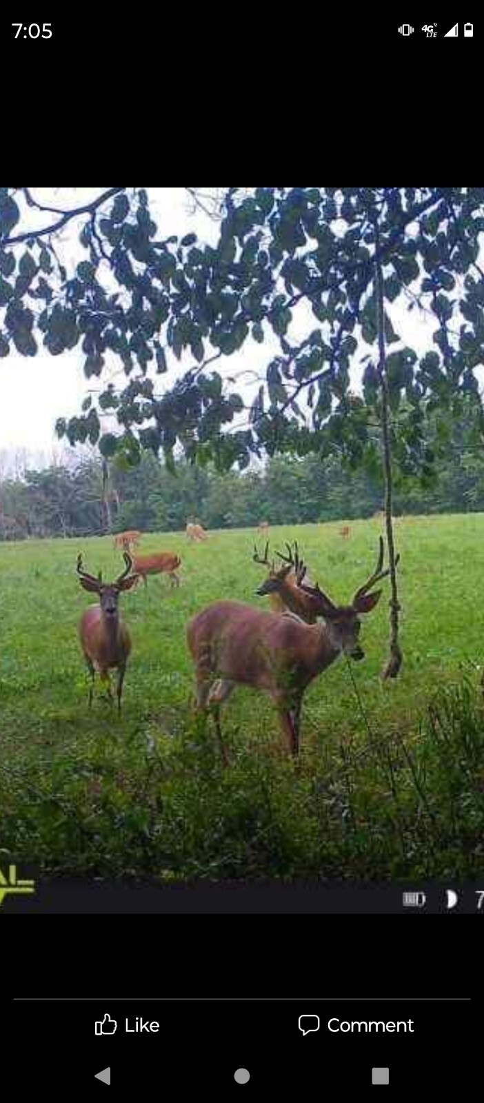 deer attractant Rope Kit! Free Shipping!