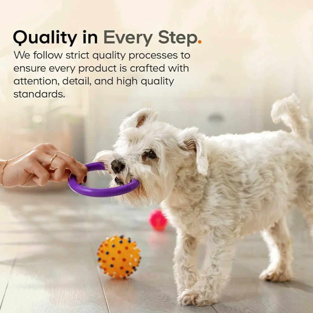 Codeage DNA Pet Beef Bone Broth Powder for Dogs Supplement Grass-Fed + Probiotic