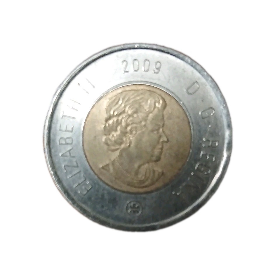 Canada 2 Dollar 2009 Queen Elizabeth II Regina Coin Bear On Back Side 🪙
