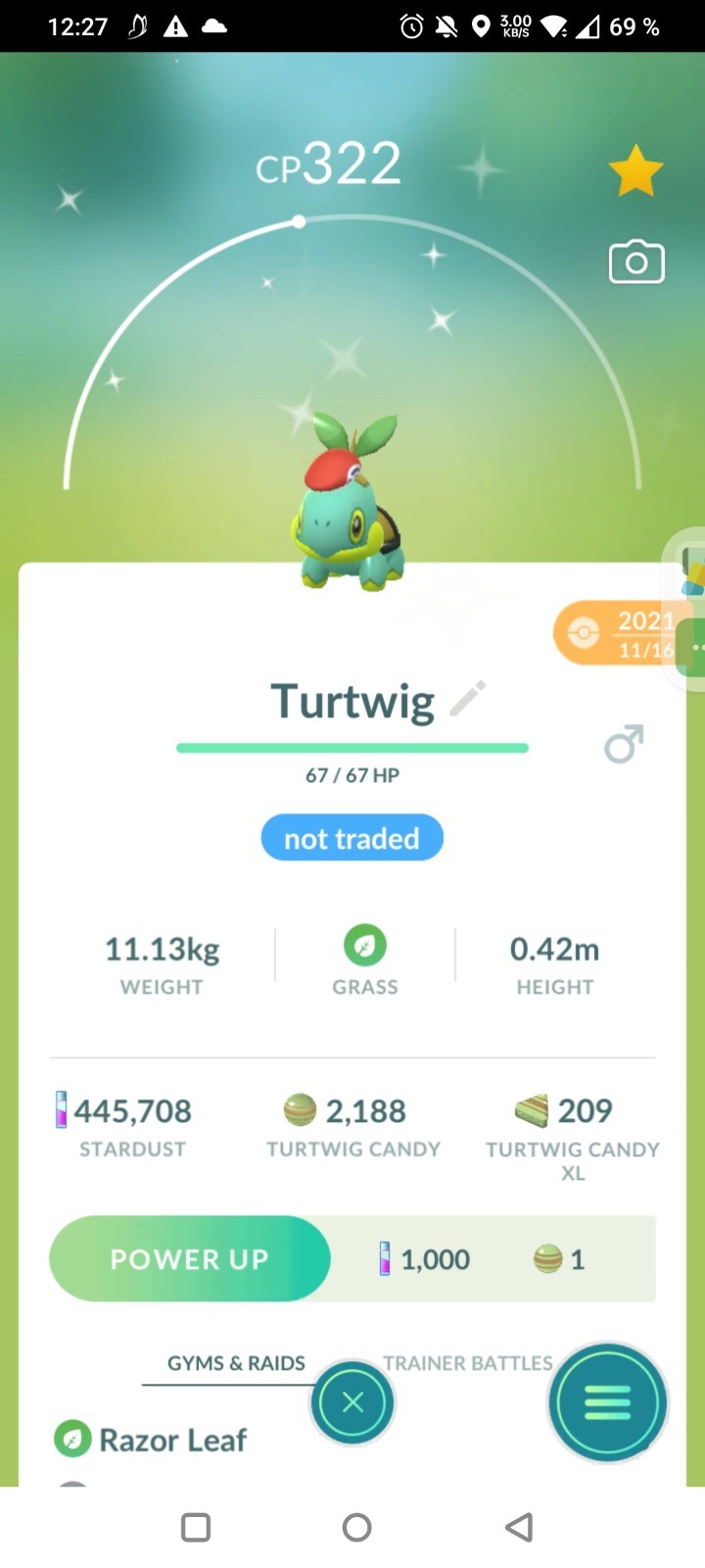 Shiny Turtwig Lucas Hat ✨Pokemon Go✨