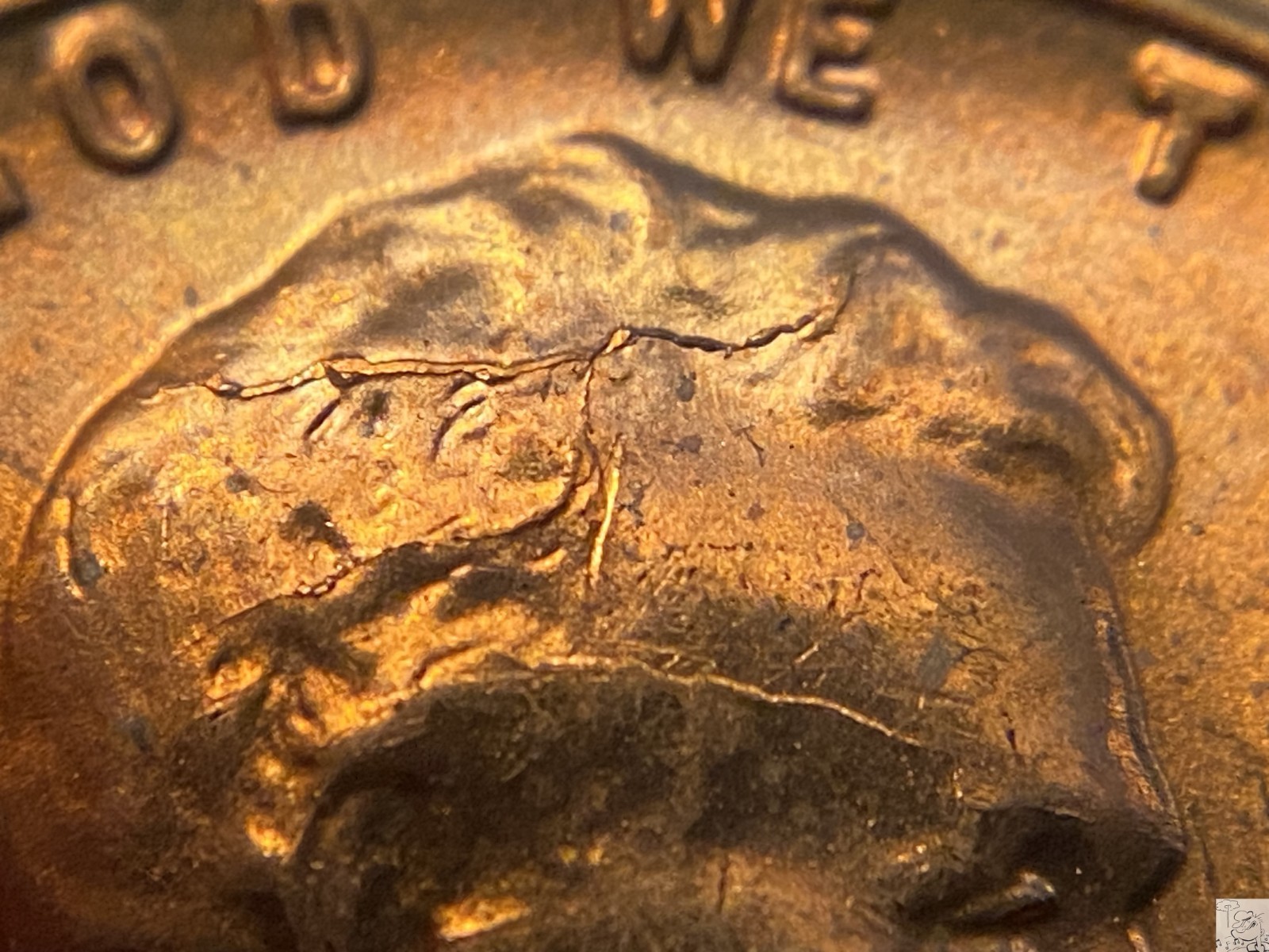 1956 Lincoln Wheat Penny 1c - Cracked Skull Die Crack Error NICE (49)