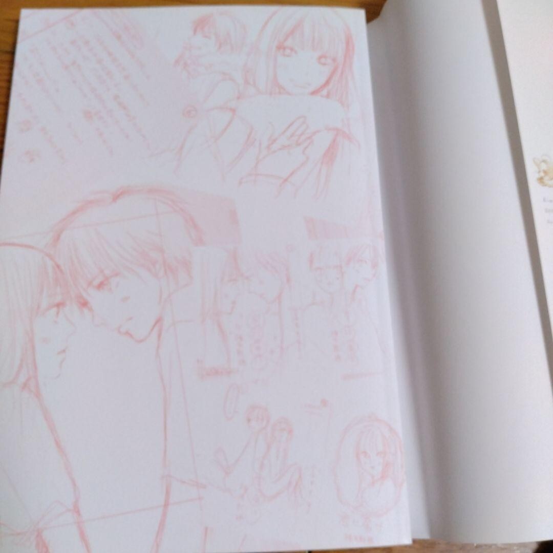 Karuho Shiina Kimi ni Todoke 2006-2018 Art Book "high school days" JAPAN