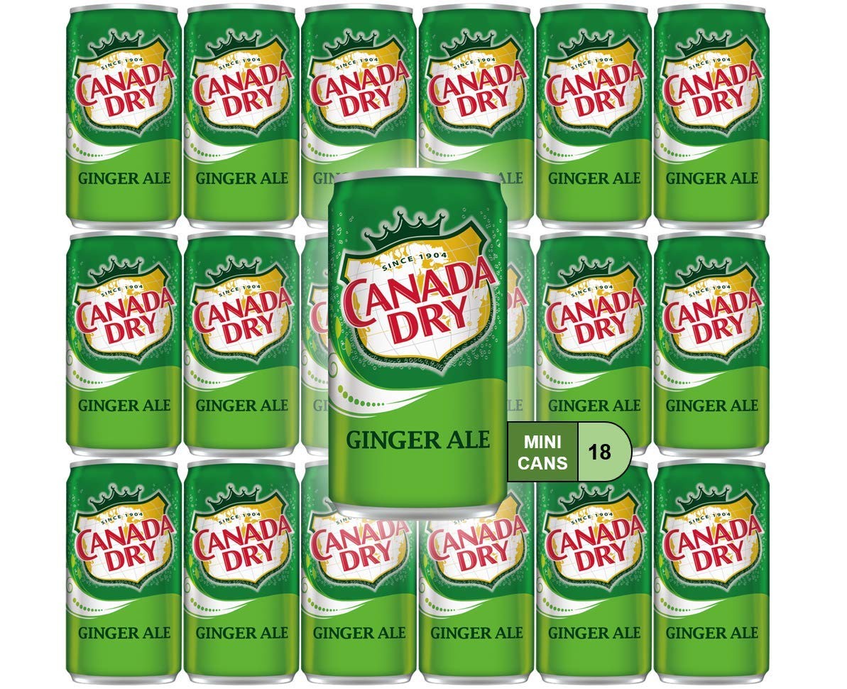 Ginger Ale Mini Soda Cans, 7.5 oz Soft Drinks Bulk Snacks 24 Pack, Small