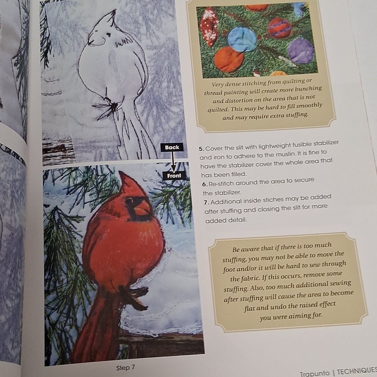Creating Art Quilts with Panels Joyce Hughes includes Panel and Thread KIt