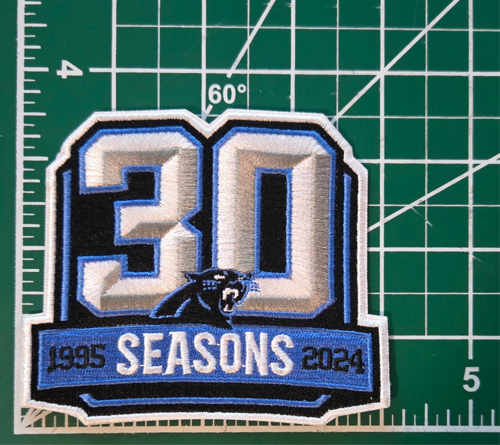 Carolina Panthers 30 Seasons Iron On Embroidered Patch ~Free Tracking!