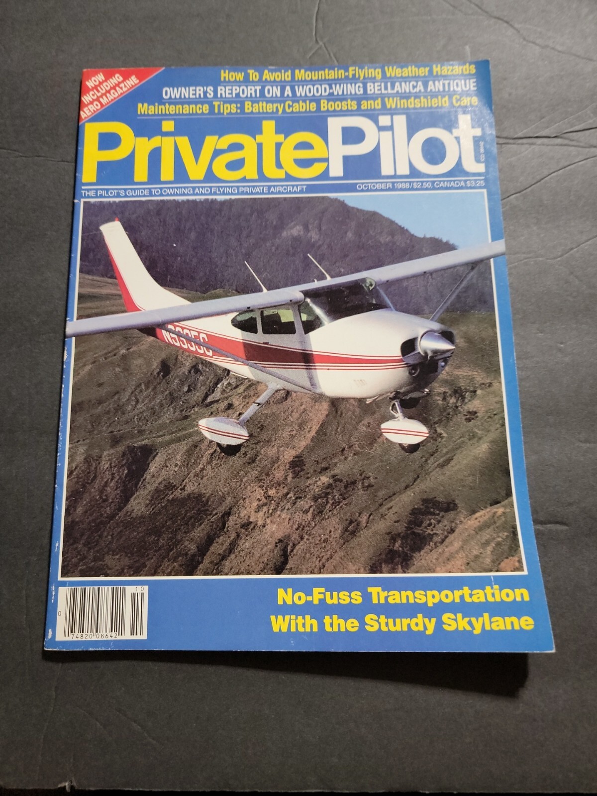 PRIVATE PILOT AVIATION MAGAZINE/LITERATURE OCTOBER 1988